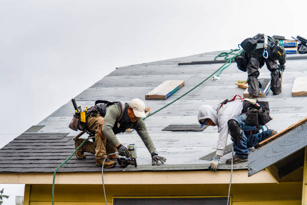 Professional Gutter Installation technician working in New Ulm, TX